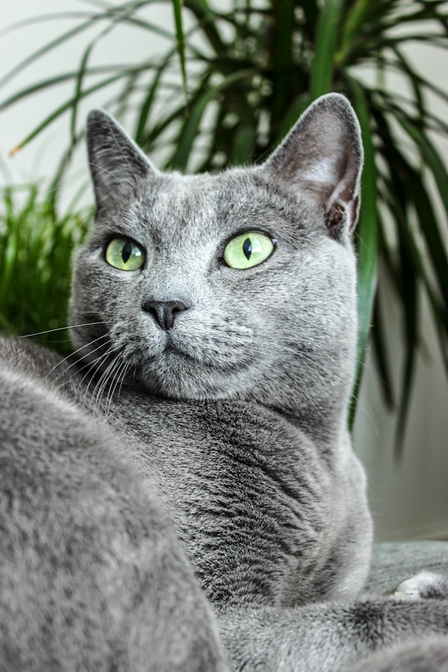 katharina-gloth-NJQkNgL7cLY-unsplash
